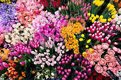 Steam《部落幸存者》2021年开启抢先体验模式 支持中文