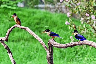 《史丹利的寓言：终极豪华版》4月27日登陆全平台