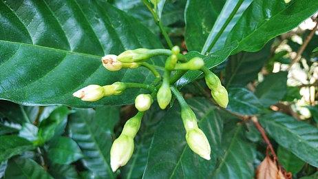 《幻兽帕鲁》宣布参加TGA 带来“玩家不想错过的消息”